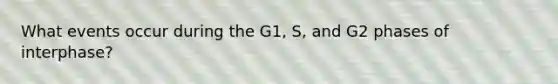 What events occur during the G1, S, and G2 phases of interphase?