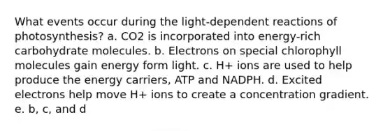 What events occur during the light-dependent reactions of photosynthesis? a. CO2 is incorporated into energy-rich carbohydrate molecules. b. Electrons on special chlorophyll molecules gain energy form light. c. H+ ions are used to help produce the energy carriers, ATP and NADPH. d. Excited electrons help move H+ ions to create a concentration gradient. e. b, c, and d