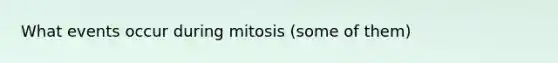 What events occur during mitosis (some of them)