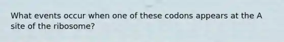 What events occur when one of these codons appears at the A site of the ribosome?