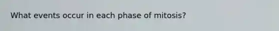 What events occur in each phase of mitosis?