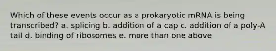 Which of these events occur as a prokaryotic mRNA is being transcribed? a. splicing b. addition of a cap c. addition of a poly-A tail d. binding of ribosomes e. more than one above