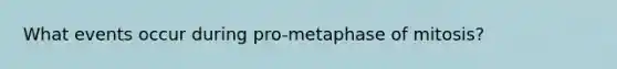 What events occur during pro-metaphase of mitosis?