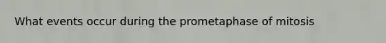 What events occur during the prometaphase of mitosis