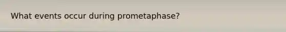 What events occur during prometaphase?