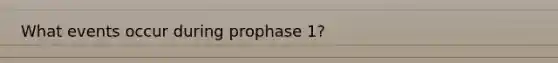 What events occur during prophase 1?