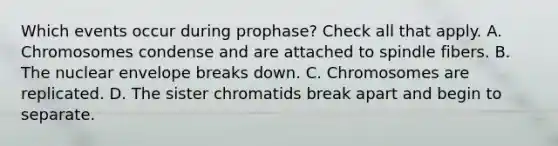 Which events occur during prophase? Check all that apply. A. Chromosomes condense and are attached to spindle fibers. B. The nuclear envelope breaks down. C. Chromosomes are replicated. D. The sister chromatids break apart and begin to separate.