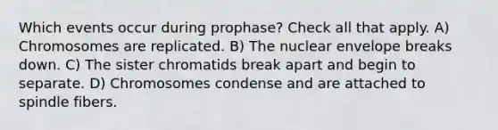 Which events occur during prophase? Check all that apply. A) Chromosomes are replicated. B) The nuclear envelope breaks down. C) The sister chromatids break apart and begin to separate. D) Chromosomes condense and are attached to spindle fibers.