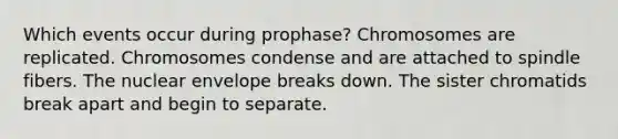 Which events occur during prophase? Chromosomes are replicated. Chromosomes condense and are attached to spindle fibers. The nuclear envelope breaks down. The sister chromatids break apart and begin to separate.