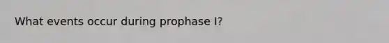 What events occur during prophase I?