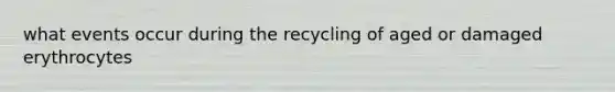 what events occur during the recycling of aged or damaged erythrocytes