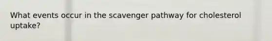 What events occur in the scavenger pathway for cholesterol uptake?