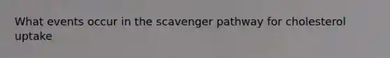 What events occur in the scavenger pathway for cholesterol uptake