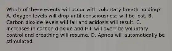 Which of these events will occur with voluntary breath-holding? A. Oxygen levels will drop until consciousness will be lost. B. Carbon dioxide levels will fall and acidosis will result. C. Increases in carbon dioxide and H+ will override voluntary control and breathing will resume. D. Apnea will automatically be stimulated.