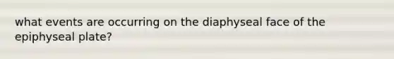 what events are occurring on the diaphyseal face of the epiphyseal plate?