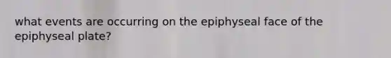 what events are occurring on the epiphyseal face of the epiphyseal plate?