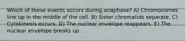 Which of these events occurs during anaphase? A) Chromosomes line up in the middle of the cell. B) Sister chromatids separate. C) Cytokinesis occurs. D) The nuclear envelope reappears. E) The nuclear envelope breaks up.