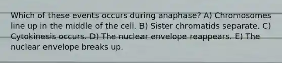 Which of these events occurs during anaphase? A) Chromosomes line up in the middle of the cell. B) Sister chromatids separate. C) Cytokinesis occurs. D) The nuclear envelope reappears. E) The nuclear envelope breaks up.