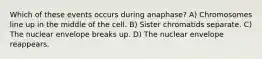 Which of these events occurs during anaphase? A) Chromosomes line up in the middle of the cell. B) Sister chromatids separate. C) The nuclear envelope breaks up. D) The nuclear envelope reappears.