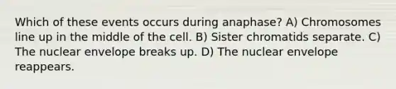 Which of these events occurs during anaphase? A) Chromosomes line up in the middle of the cell. B) Sister chromatids separate. C) The nuclear envelope breaks up. D) The nuclear envelope reappears.