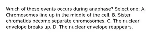 Which of these events occurs during anaphase? Select one: A. Chromosomes line up in the middle of the cell. B. Sister chromatids become separate chromosomes. C. The nuclear envelope breaks up. D. The nuclear envelope reappears.