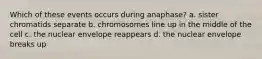 Which of these events occurs during anaphase? a. sister chromatids separate b. chromosomes line up in the middle of the cell c. the nuclear envelope reappears d. the nuclear envelope breaks up