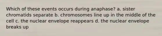 Which of these events occurs during anaphase? a. sister chromatids separate b. chromosomes line up in the middle of the cell c. the nuclear envelope reappears d. the nuclear envelope breaks up