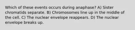 Which of these events occurs during anaphase? A) Sister chromatids separate. B) Chromosomes line up in the middle of the cell. C) The nuclear envelope reappears. D) The nuclear envelope breaks up.