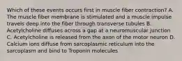 Which of these events occurs first in muscle fiber contraction? A. The muscle fiber membrane is stimulated and a muscle impulse travels deep into the fiber through transverse tubules B. Acetylcholine diffuses across a gap at a neuromuscular junction C. Acetylcholine is released from the axon of the motor neuron D. Calcium ions diffuse from sarcoplasmic reticulum into the sarcoplasm and bind to Troponin molecules