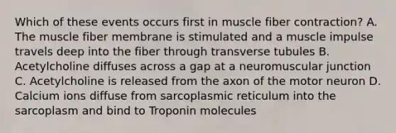 Which of these events occurs first in muscle fiber contraction? A. The muscle fiber membrane is stimulated and a muscle impulse travels deep into the fiber through transverse tubules B. Acetylcholine diffuses across a gap at a neuromuscular junction C. Acetylcholine is released from the axon of the motor neuron D. Calcium ions diffuse from sarcoplasmic reticulum into the sarcoplasm and bind to Troponin molecules