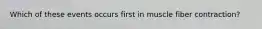 Which of these events occurs first in muscle fiber contraction?