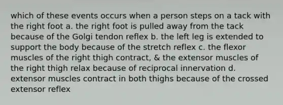 which of these events occurs when a person steps on a tack with the right foot a. the right foot is pulled away from the tack because of the Golgi tendon reflex b. the left leg is extended to support the body because of the stretch reflex c. the flexor muscles of the right thigh contract, & the extensor muscles of the right thigh relax because of reciprocal innervation d. extensor muscles contract in both thighs because of the crossed extensor reflex