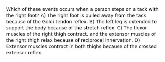 Which of these events occurs when a person steps on a tack with the right foot? A) The right foot is pulled away from the tack because of the Golgi tendon reflex. B) The left leg is extended to support the body because of the stretch reflex. C) The flexor muscles of the right thigh contract, and the extensor muscles of the right thigh relax because of reciprocal innervation. D) Extensor muscles contract in both thighs because of the crossed extensor reflex.