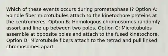 Which of these events occurs during prometaphase I? Option A: Spindle fiber microtubules attach to the kinetochore proteins at the centromeres. Option B: Homologous chromosomes randomly assort and line up between two poles. Option C: Microtubules assemble at opposite poles and attach to the fused kinetochore. Option D: Microtubule fibers attach to the tetrad and pull linked chromosomes apart.