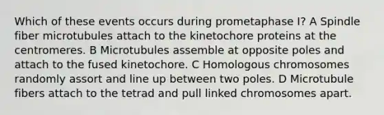 Which of these events occurs during prometaphase I? A Spindle fiber microtubules attach to the kinetochore proteins at the centromeres. B Microtubules assemble at opposite poles and attach to the fused kinetochore. C Homologous chromosomes randomly assort and line up between two poles. D Microtubule fibers attach to the tetrad and pull linked chromosomes apart.