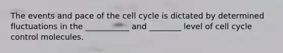 The events and pace of the cell cycle is dictated by determined fluctuations in the ___________ and ________ level of cell cycle control molecules.