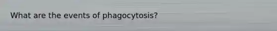 What are the events of phagocytosis?