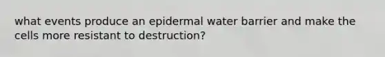 what events produce an epidermal water barrier and make the cells more resistant to destruction?