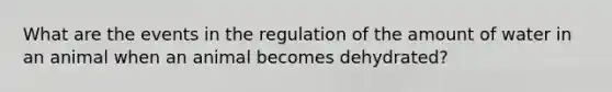 What are the events in the regulation of the amount of water in an animal when an animal becomes dehydrated?