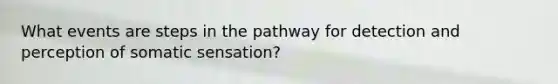 What events are steps in the pathway for detection and perception of somatic sensation?