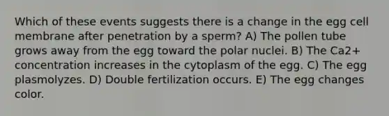 Which of these events suggests there is a change in the egg cell membrane after penetration by a sperm? A) The pollen tube grows away from the egg toward the polar nuclei. B) The Ca2+ concentration increases in the cytoplasm of the egg. C) The egg plasmolyzes. D) Double fertilization occurs. E) The egg changes color.