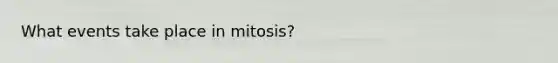 What events take place in mitosis?