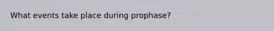 What events take place during prophase?