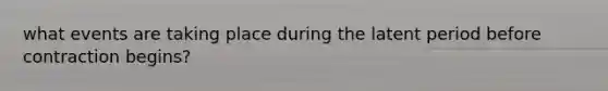what events are taking place during the latent period before contraction begins?