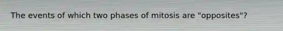 The events of which two phases of mitosis are "opposites"?