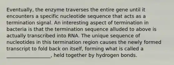 Eventually, the enzyme traverses the entire gene until it encounters a specific nucleotide sequence that acts as a termination signal. An interesting aspect of termination in bacteria is that the termination sequence alluded to above is actually transcribed into RNA. The unique sequence of nucleotides in this termination region causes the newly formed transcript to fold back on itself, forming what is called a __________________, held together by hydrogen bonds.