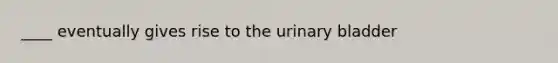 ____ eventually gives rise to the <a href='https://www.questionai.com/knowledge/kb9SdfFdD9-urinary-bladder' class='anchor-knowledge'>urinary bladder</a>