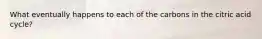 What eventually happens to each of the carbons in the citric acid cycle?