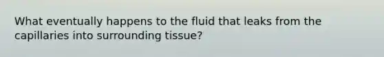 What eventually happens to the fluid that leaks from the capillaries into surrounding tissue?