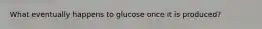 What eventually happens to glucose once it is produced?